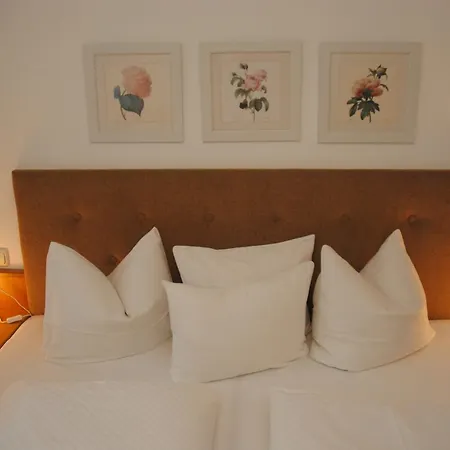 Rieser Gasthof Mayrhofen